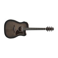 Ibanez AAD50CE-TCB Acoustic Guitar