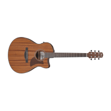 Ibanez AAM54CE-OPN Acoustic Steel Guitar Ibanez AAM54CE-OPN Acoustic Steel Guitar