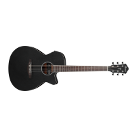 Ibanez AEG7MH-WK Acoustic Guitar