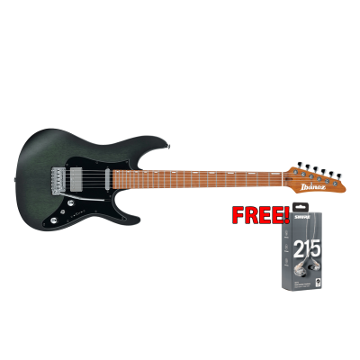 Ibanez EH10-TGM Erick Hansel (CHON) AZ Signature